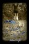 [Camdyn 01] • A Reason to Run (The Camdyn Series Book 1)